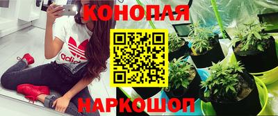 марки lsd Лесосибирск
