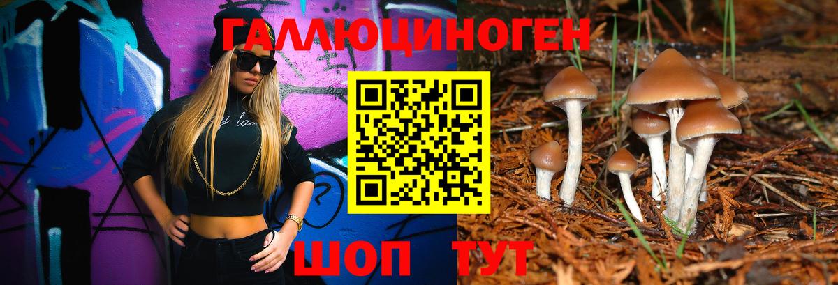 Туймазы  Галлюциногенные грибы прущие грибы  Галлюциногенные грибы GOLDEN TEACHER  Вход с VPN 
